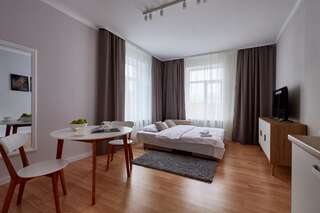 Апартаменты Scandian apartments on Sumskaia Харьков Номер-студио с диваном-кроватью-6