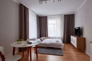 Апартаменты Scandian apartments on Sumskaia Харьков Номер-студио с диваном-кроватью-8